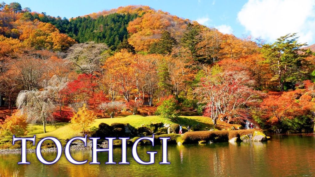 TOCHIGI. It's feeling like Autumn more and more.#4K #古峯神社 #平家の里