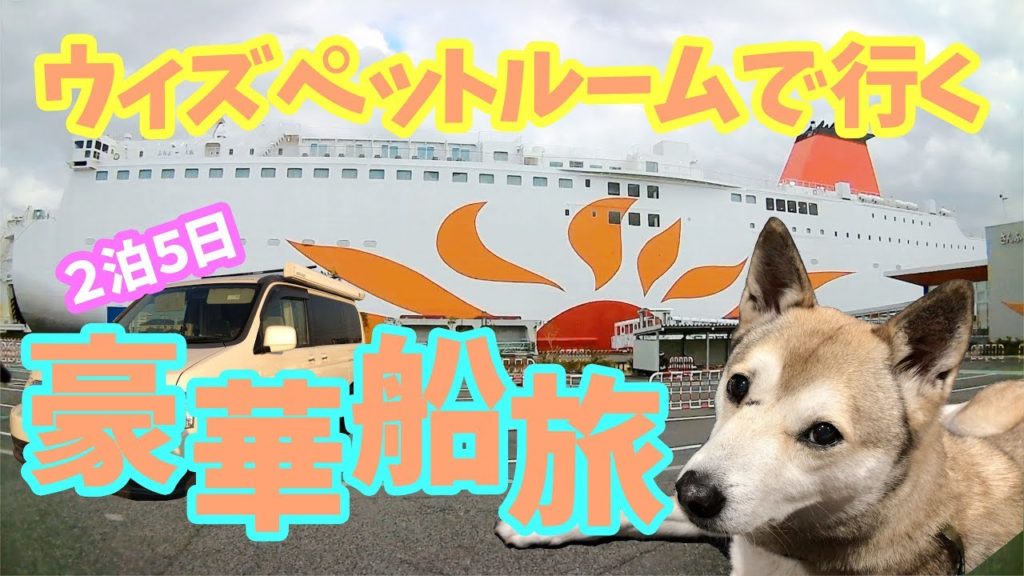 【わんこと女子の船旅】ウィズペットルームで快適に過ごす♪さんふらわあの旅 4K〜Japanese boat trip 「sunflower」to go with dog〜