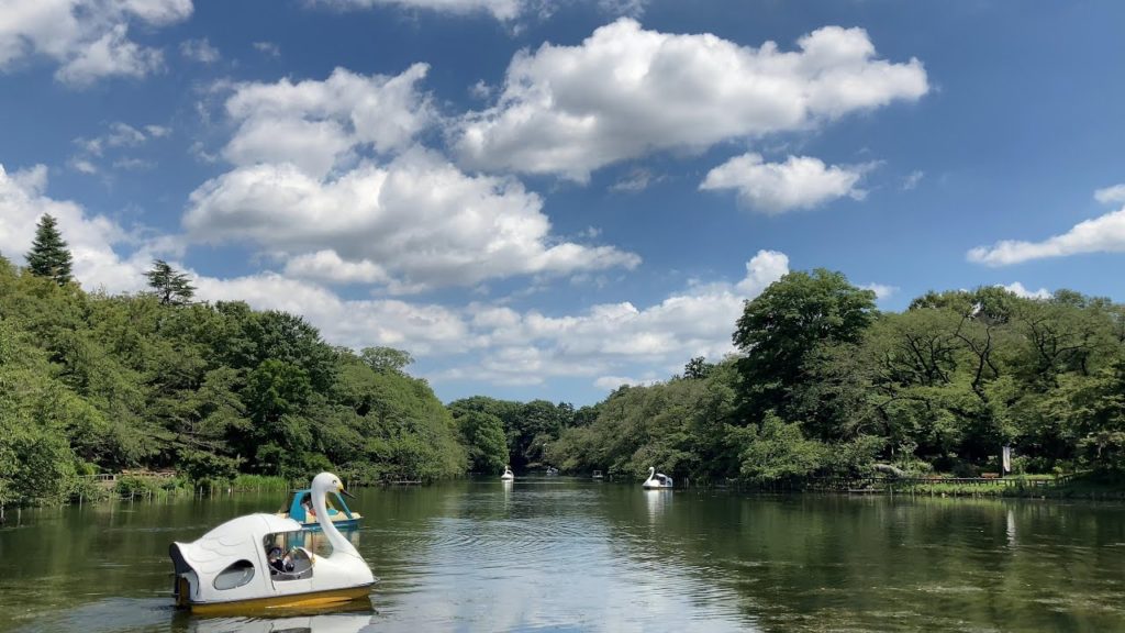 Kichijoji Inokashira Park Walk, Tokyo, Japan - Kandagawa - Summer 2021 吉祥寺 井の頭公園 [4K]