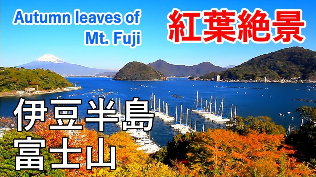 伊豆半島 富士山と紅葉絶景 ( だるま山高原 / 大瀬崎 / 長浜城 / 香貫山 ) / Mt. Fuji in autumn ( Shizuoka, Japan )【日本の紅葉絶景！】[ 4K ]