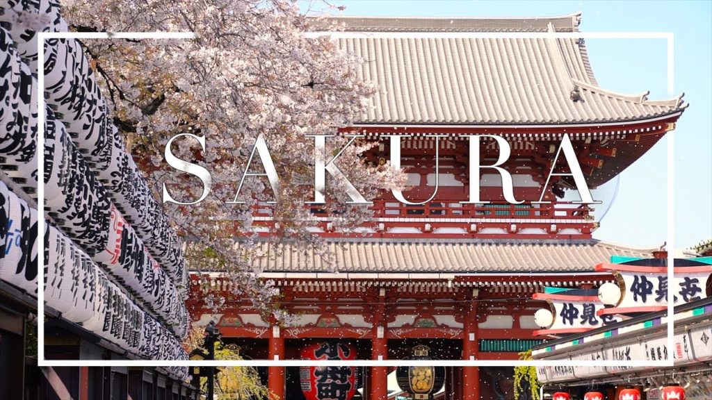 Tokyo Sakura 2020 - Sony A7III Cinematic Video
