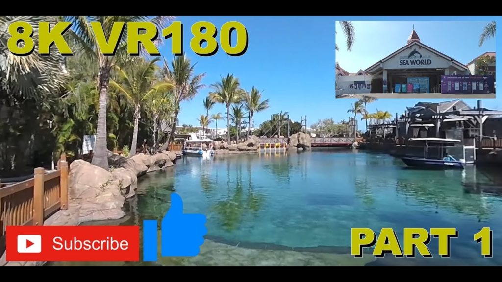 8K VR180 3D Part 1 Sea World Gold Coast Australia Walkthrough (Travel videos, ASMR/Music 4K/8K) 8K VR180 3D Part 1 Sea World Gold Coast Australia Walkthrough (Travel videos, ASMR/Music 4K/8K)