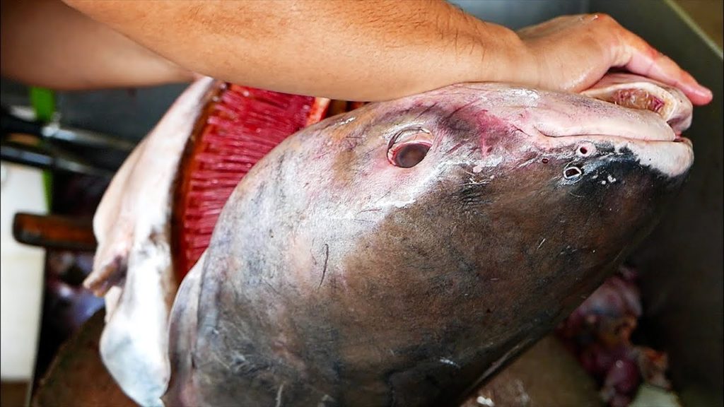 Thai Food - MONSTER CATFISH Aoywaan Bangkok Seafood Thailand