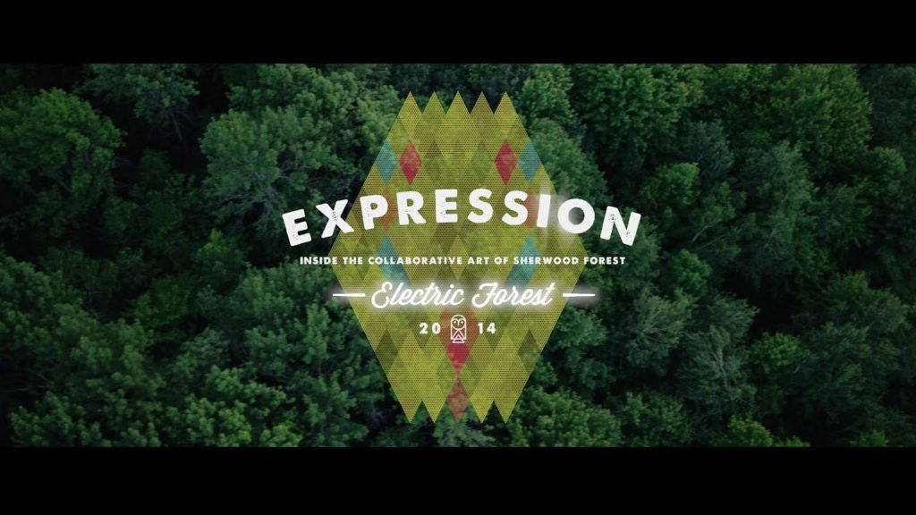 Electric Forest 2014 Part I: Expression Electric Forest 2014 Part I: Expression