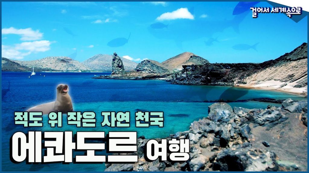못 위에 달걀이 세워지는 마법! 적도 위 생태계 천국이 펼쳐진다 '에콰도르 여행1⃣' Trip to Ecuador (KBS_20181124)