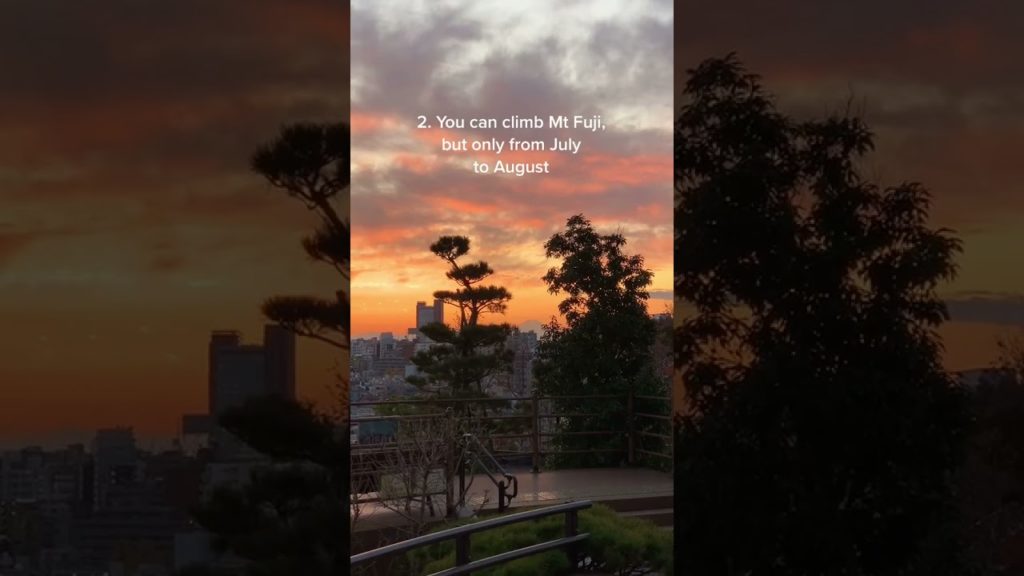 Beautiful sunset on the top of Mount Fuji - Travel to Japan #Shorts