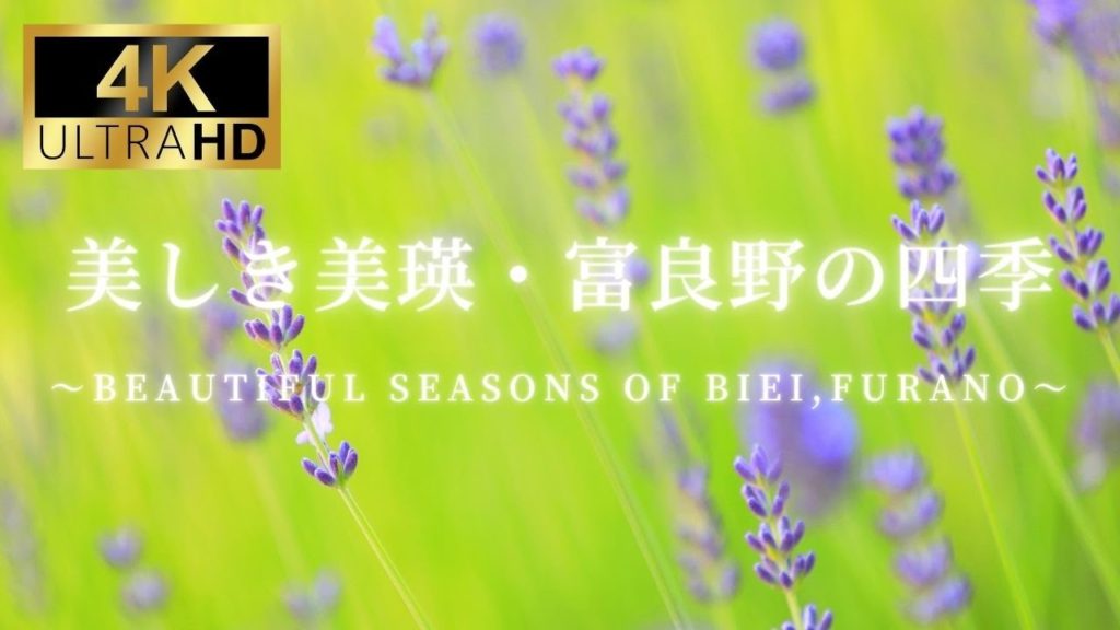 【4K】【絶景】美しき美瑛・富良野の四季【癒し】