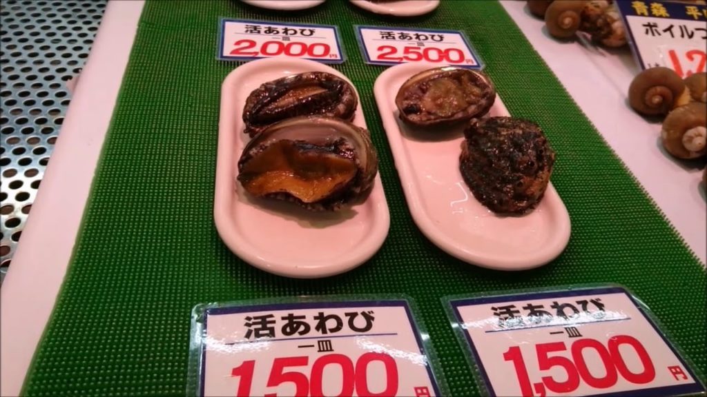 青森新鮮市場 活鮑魚/Live abalone in Aomori Japan