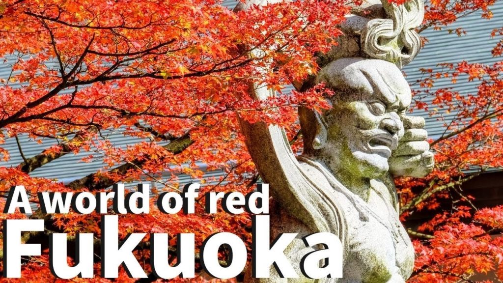 【Fukuoka/Kasuya】Walking at Nomiyama Kannonji Temple (Momiji , Autumn leaves, Buddhist etc)