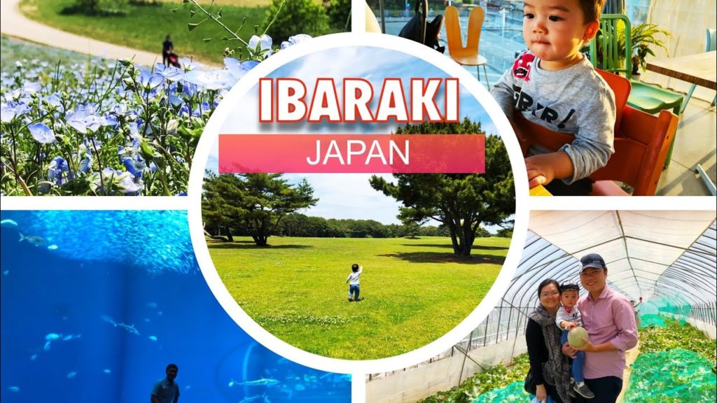 Ibaraki Japan Trip [Full 6 Days Compilation]