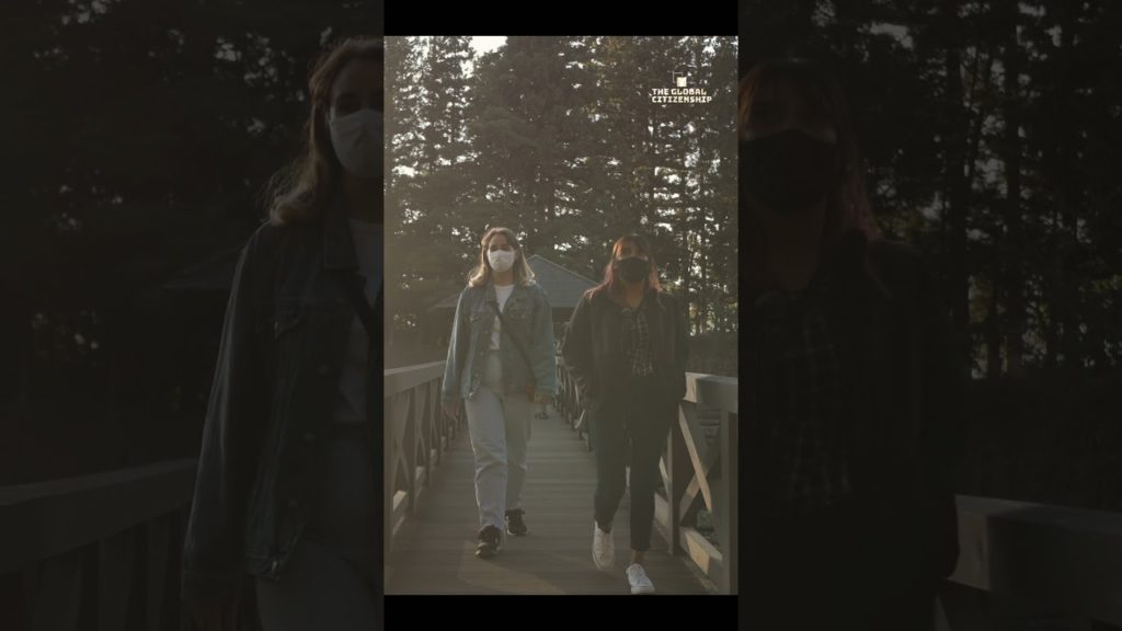 Autumn leaves at Nagano Prefecture in Japan are absolutely golden | GLOBAL CITIZENSHIP #shorts Autumn leaves at Nagano Prefecture in Japan are absolutely golden | GLOBAL CITIZENSHIP #shorts