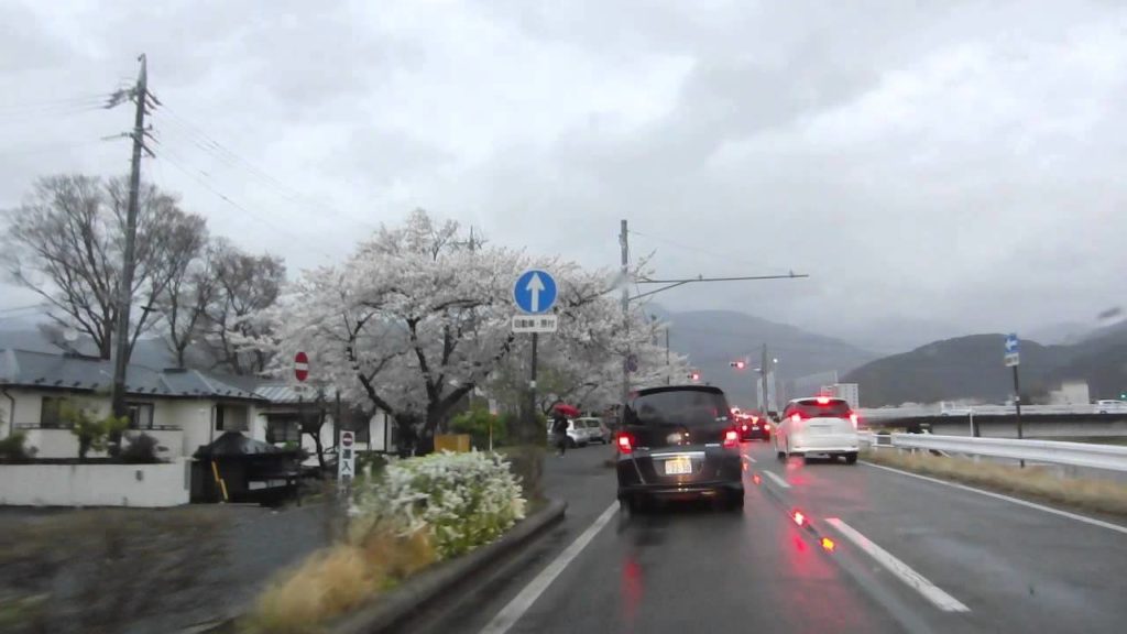 CHERRY BLOSSOMS in MATSUMOTO CITY,NAGANO PREF.,JAPAN
