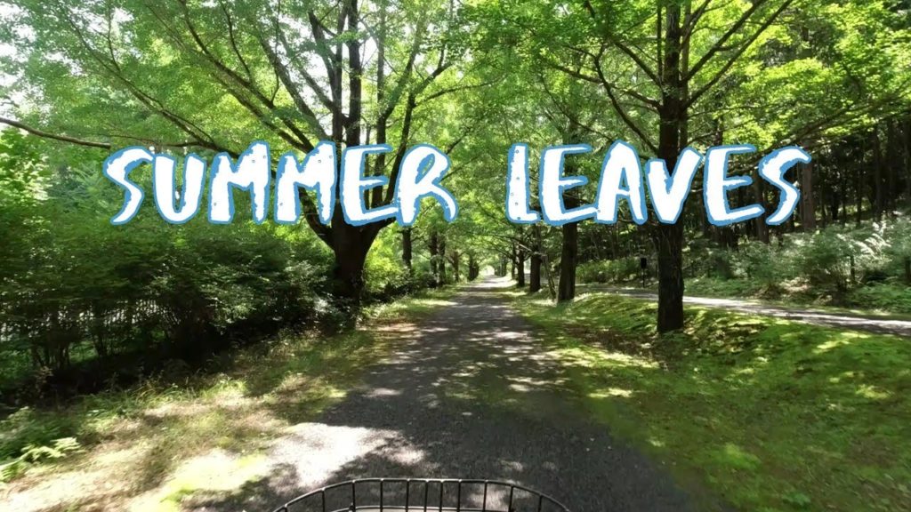 [Vlog] Cycling in Showa Memorial Park in Summer | Tokyo Sightseeing, Japan