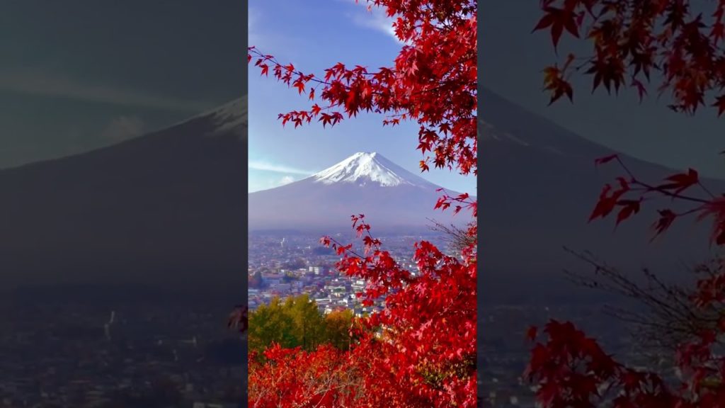 Beautiful Mount Fuji and Red Momiji #富士山 #mountfuji #japan #autumn