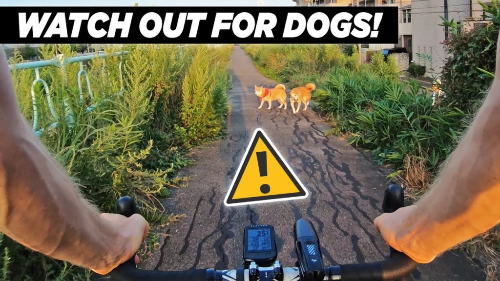 Exploring New Roads With a Surprise.. [Bike Commuting in Japan]