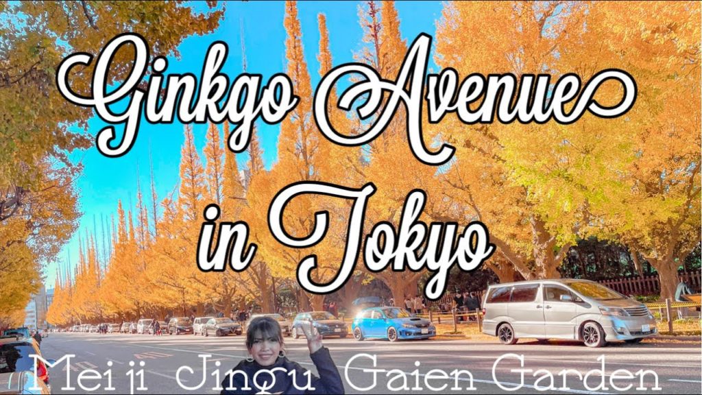Best Autumn Spot in Tokyo | Meiji Jingu Gaien Ginkgo Avenue