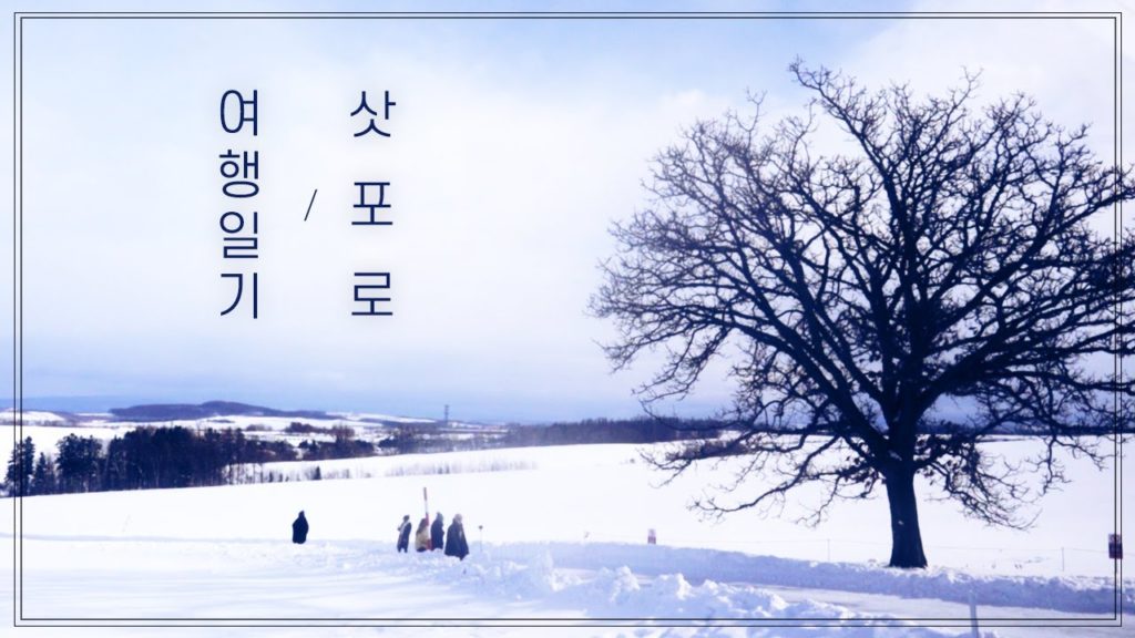 [혼자여행 VLOG](eng sub) #1.혼자떠난 삿포로,가성비호텔,라멘맛집,오타루,오타루오르골당,러쉬입욕제 /Sapporo in Winter Left Alone