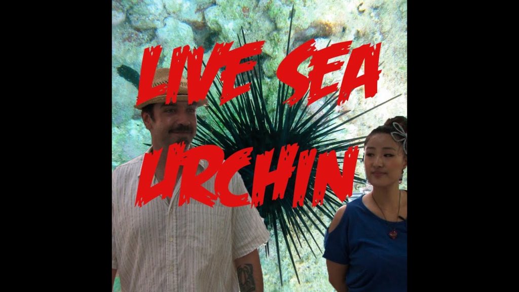 Horrifying Korean Food, NOT FOR SENSITIVE PEOPLE