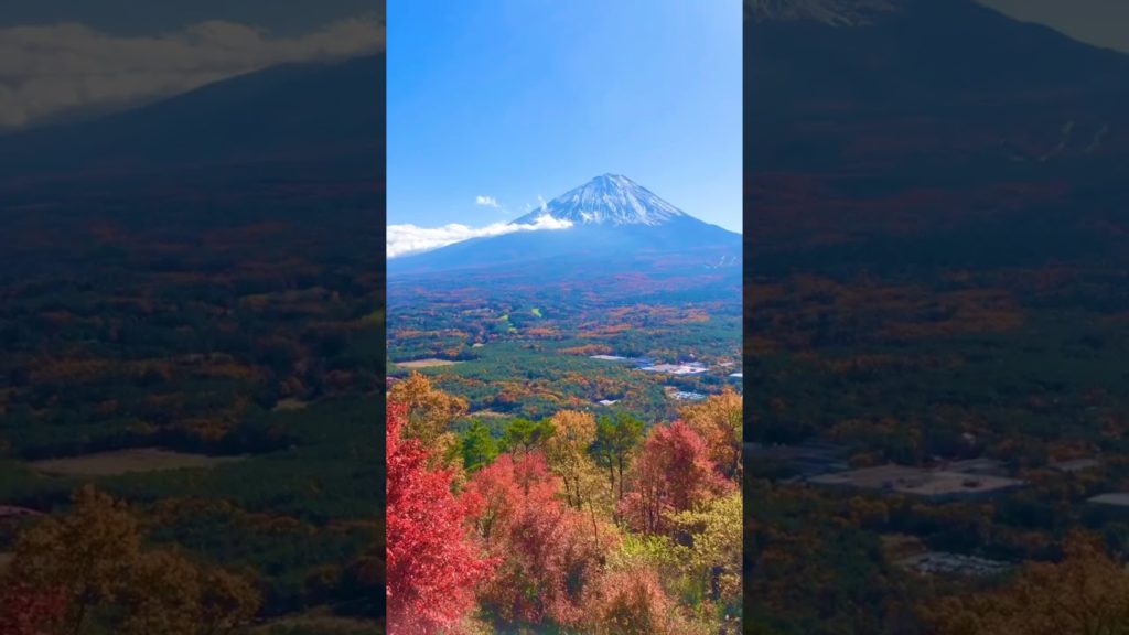 Beautiful Mount Fuji 富士山 #fujisan #mountainfuji #autumn #富士山
