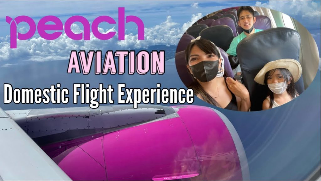 Peach Aviation Flight | Nagoya-Okinawa Domestic Flight in Japan