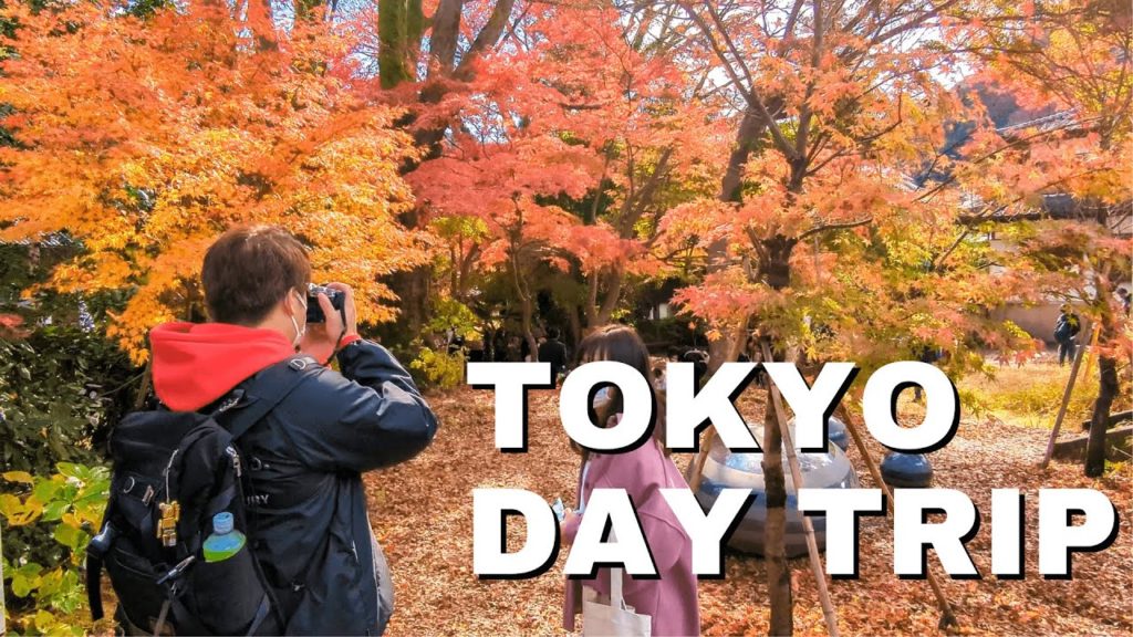 Best Day Trip from Tokyo in Autumn Best Day Trip from Tokyo in Autumn
