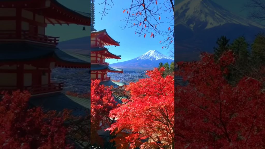 富士山 忠霊塔 Mount Fuji and Chureito Pagoda Autumn #忠霊塔 #mountfuji #naturejapan #shorts #autumn