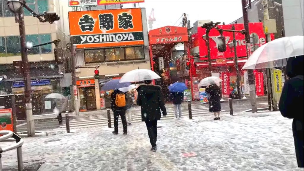 《4K》Last Year Snowfall in Omiya Saitama | Virtual Tour video