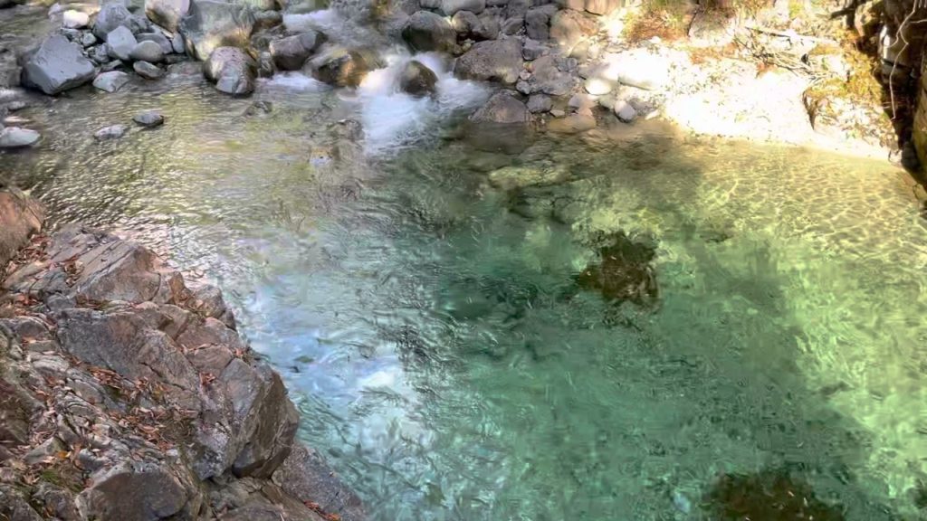 Atera Valley (阿寺渓谷) in Kiso, Nagano Autumn #長野 #ateravalley #aterakekeikoku