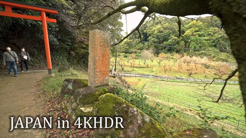 Yamanobe-no-michi from Miwa to Tenri・Old walking path in Nara・4K HDR