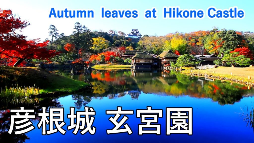 国宝 彦根城と玄宮園の紅葉絶景！ / Autumn Leaves of Hikone Castle and Genkyu-en Garden ( Shiga,Japan )【日本の紅葉絶景！】[4K]