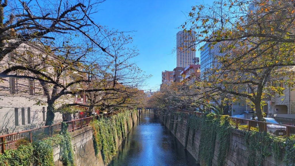 Live Tokyo Walk - Sangenjaya to Naka-Meguro Morning Stroll