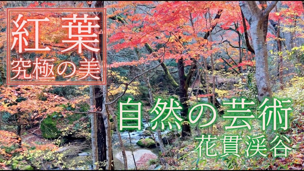 茨城・花貫渓谷：関東で最も美しい紅葉の名所の１つ。清流花貫川のせせらぎの音を聞きながら、紅葉が彩る花貫渓谷を散策。観光名所。Amazing Autumn Leaves, Ibaraki, Japan