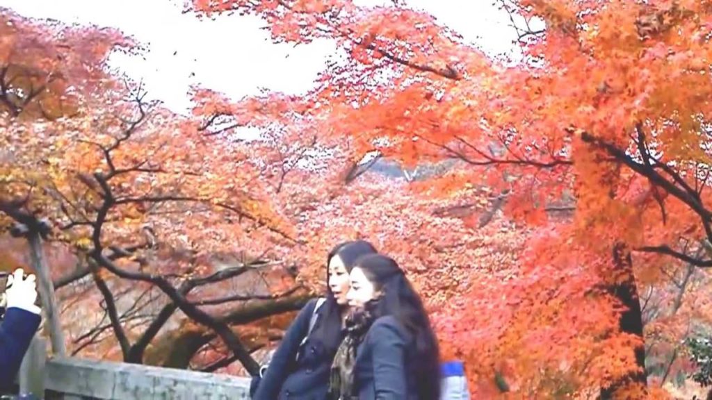 Kyoto trip/京都の紅葉