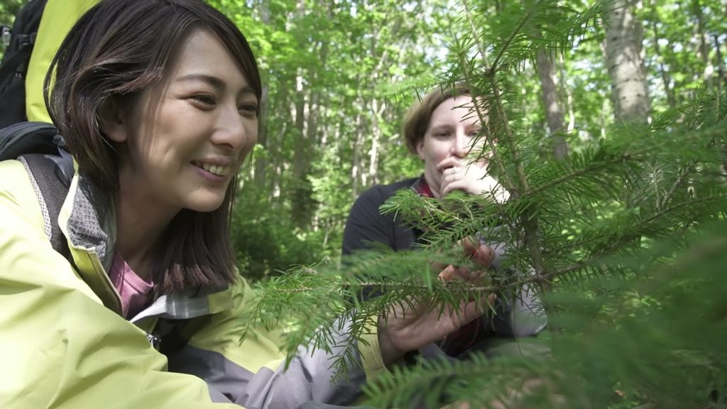 VJA #8: NORTHERN HOKKAIDO VJA #8: NORTHERN HOKKAIDO