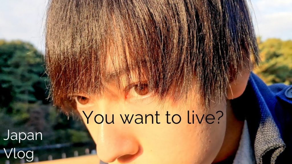 憂鬱なので東京の幻想的な森林に行ってきた Vlog 憂鬱なので東京の幻想的な森林に行ってきた Vlog