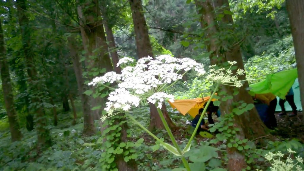 June 5   05 Camp Tour