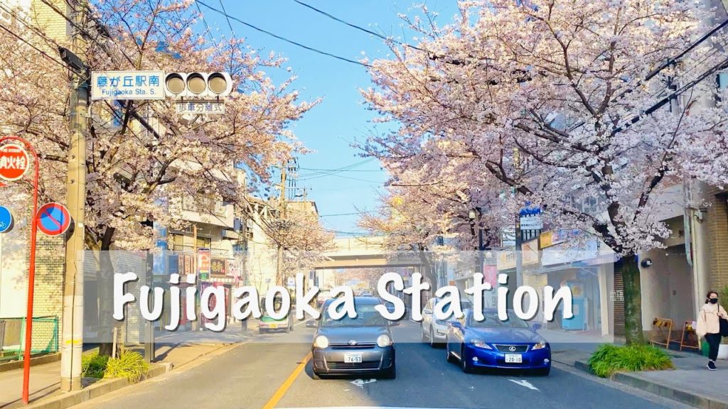 [4K] Japan Walking Tour - Amazing Cherry Blossom at Fujigaoka Station, Nagoya
