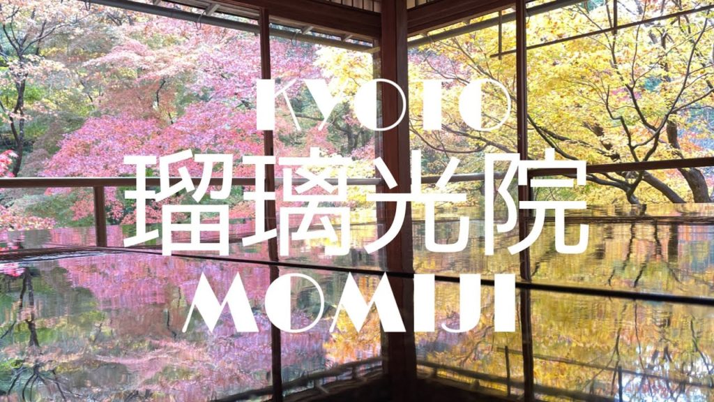 瑠璃光院　KYOTO MOMIJI Rurikoin-temple Autumn leaves【Exploring KYOTO JAPAN
