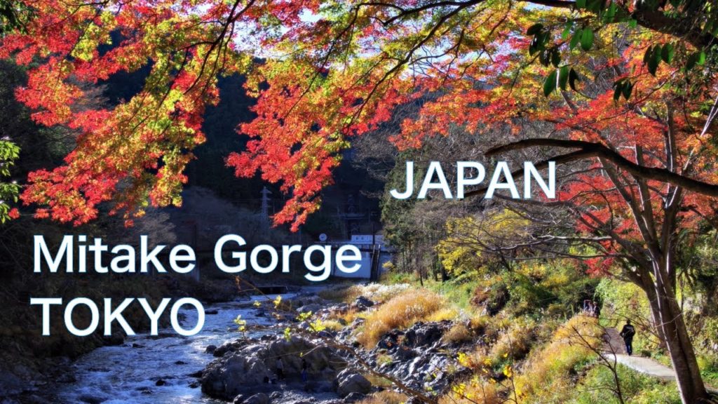 【JAPAN TRAVEL：TOKYO】Autumn leaves at Mitake Gorge Hiking　Beautiful view of autumn color　JAPAN TRIP