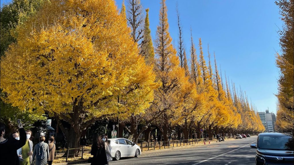 Golden Yellow Street & Local Market 2021