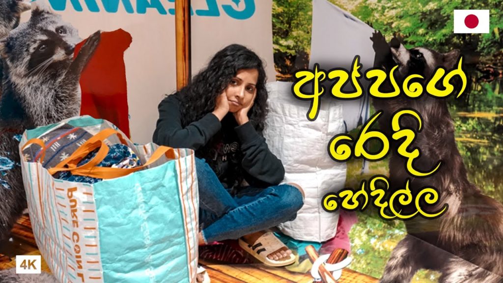 ජපානයේ රැකූන්ගෙන් රෙදි හෝදන එකම තැන🇯🇵🦝 |COIN LONDARY EXPERIENCE IN JAPAN | Hithumathe JAPAN | 4K ජපානයේ රැකූන්ගෙන් රෙදි හෝදන එකම තැන🇯🇵🦝 |COIN LONDARY EXPERIENCE IN JAPAN | Hithumathe JAPAN | 4K