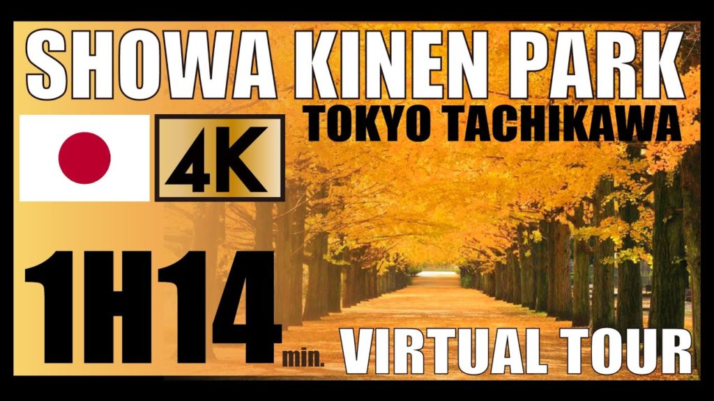 【Virtual Run】SHOWA KINEN NATIONAL PARK TOKYO,JAPAN 昭和記念公園#nationalpark #discoverjapan #virtualtour 【Virtual Run】SHOWA KINEN NATIONAL PARK TOKYO,JAPAN 昭和記念公園#nationalpark #discoverjapan #virtualtour