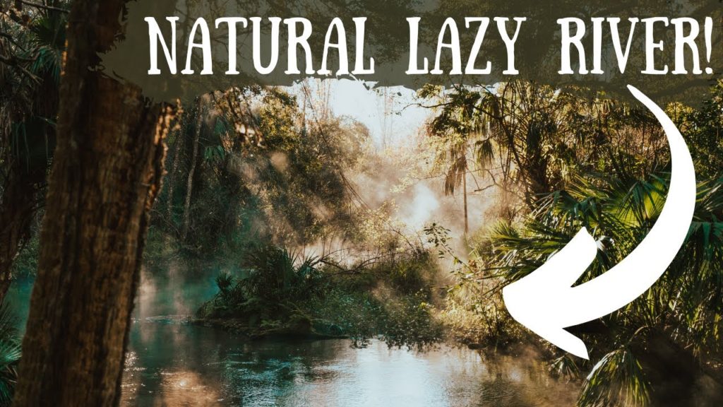 What to Know Before Visiting Kelly Park Rock Springs in Apopka