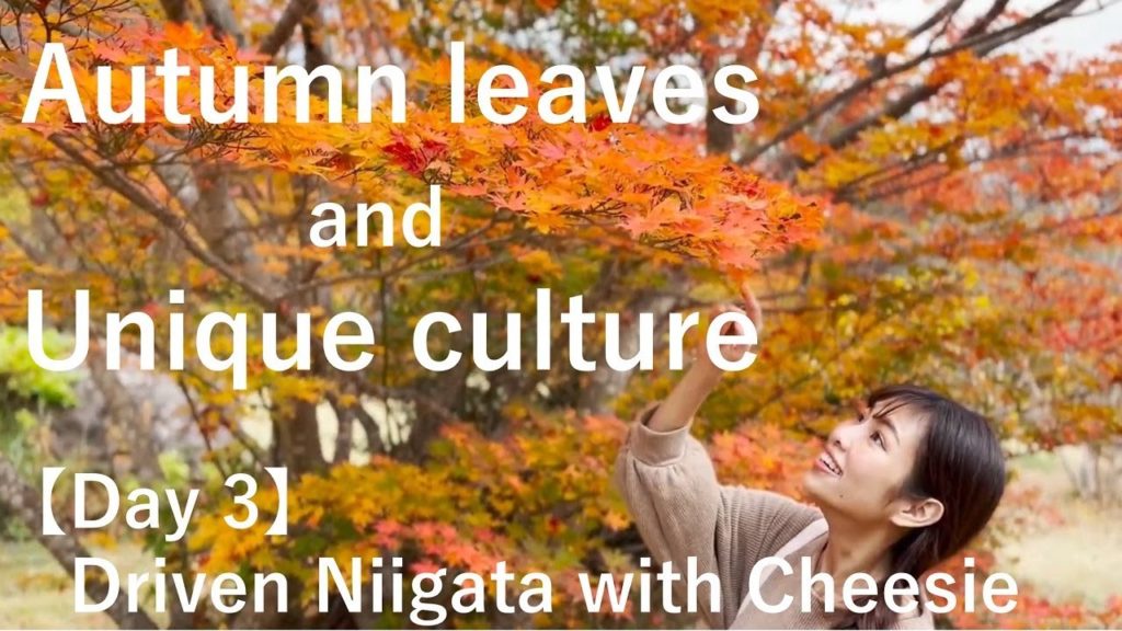 【Day 3】Drivin' Niigata with Cheesie