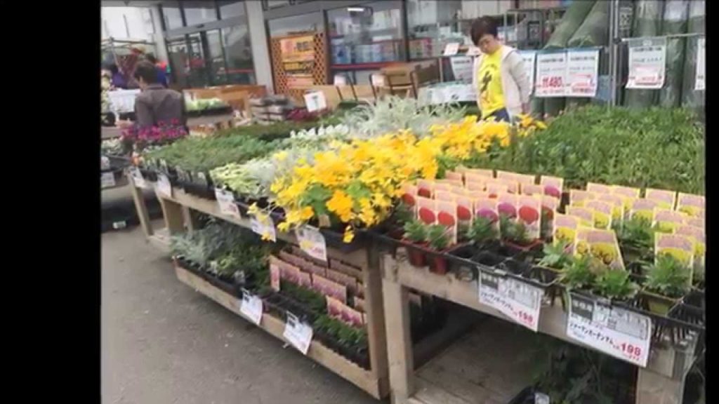 Trip To Hokkaido Day 1 & 2