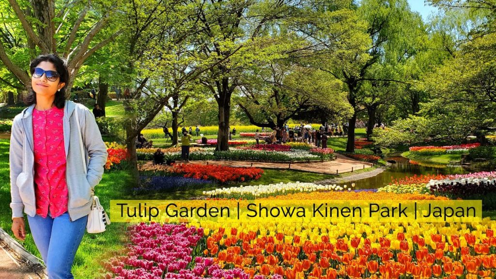 Tulip Garden | Showa Kinen Park | Japan
