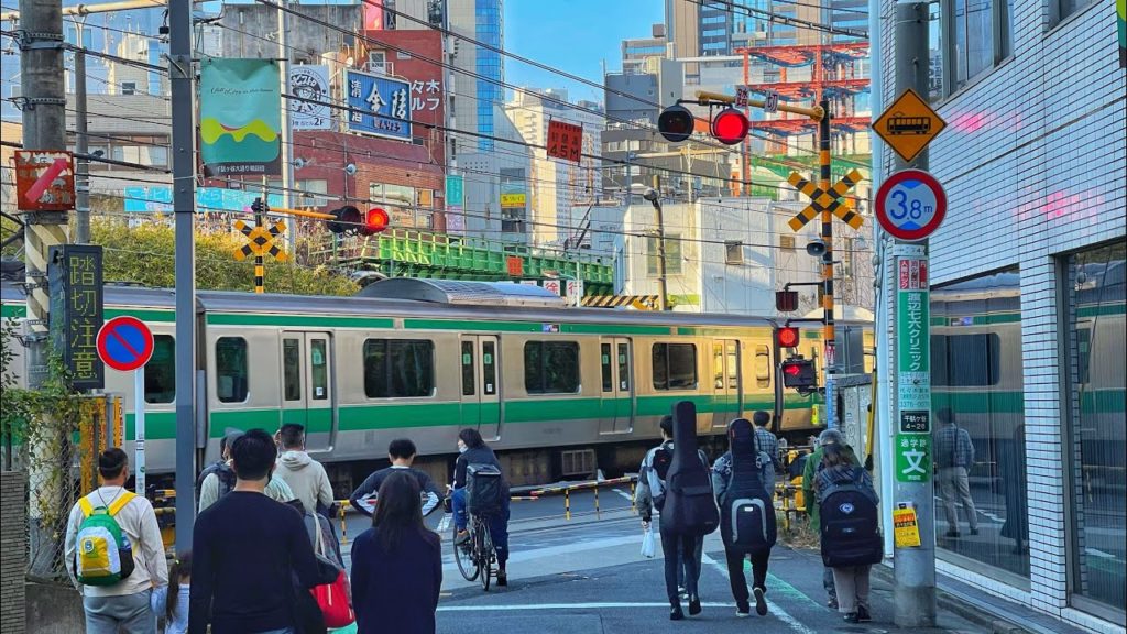 Live Tokyo Walk - Yoyogi Park, Omotesando & Sendagaya