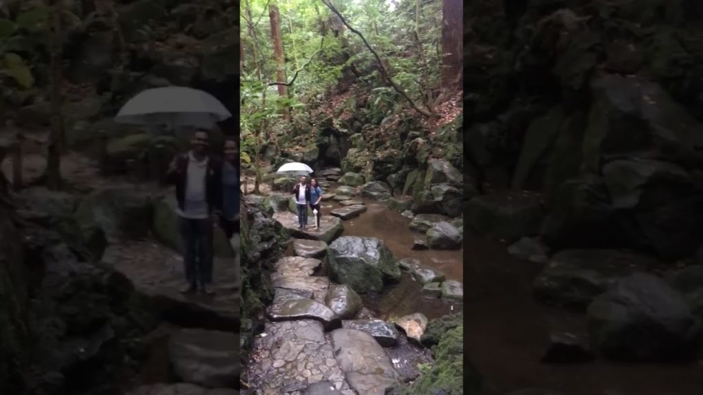 Touring Japan – Travelling in Japan – One Piece Tower, Japan Street Food, Tokyo Museum Touring Japan - Travelling in Japan - One Piece Tower, Japan Street Food, Tokyo Museum