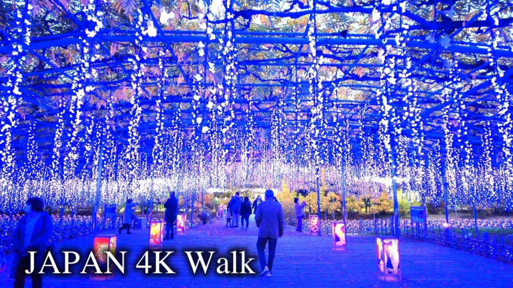 【4K】Japan Walking Tour – Shining Wisteria Festival in Ashikaga Flower Park 【4K】Japan Walking Tour - Shining Wisteria Festival in Ashikaga Flower Park