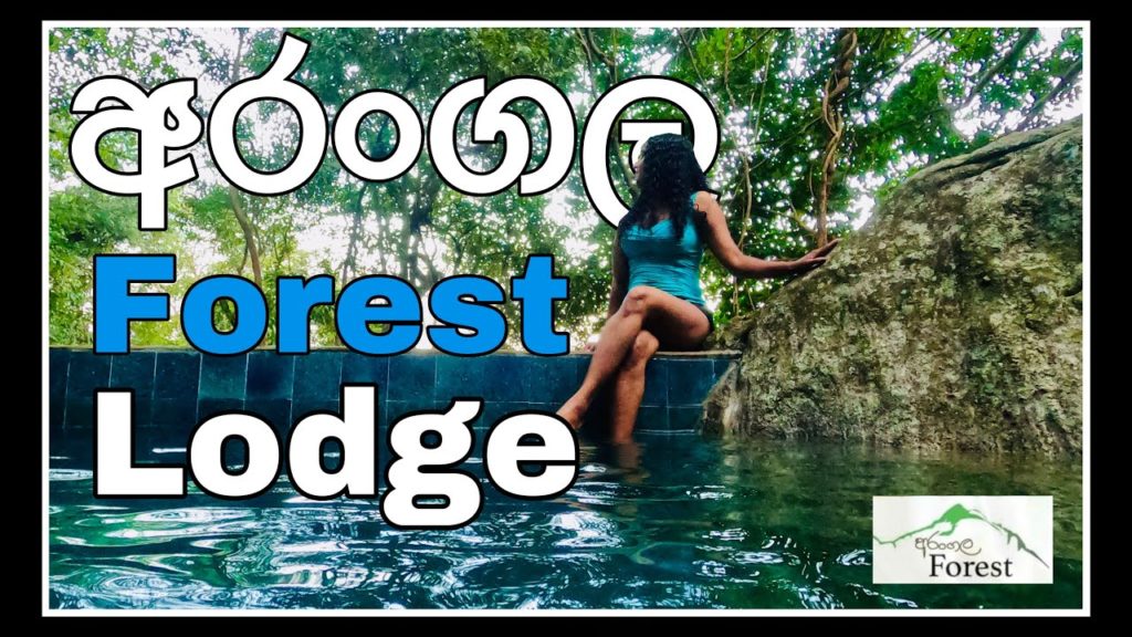 Arangala Mountain Hike | අරංගල කන්ද තරණය